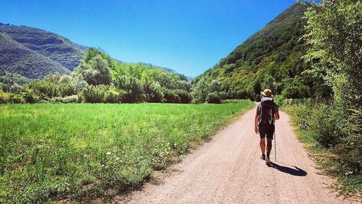 La Via Francisca del Lucomagno protagonista a Busto La Via Francisca del Lucomagno protagonista a Busto