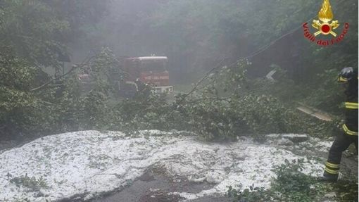 Maltempo in Lombardia, vigili del fuoco ancora in azione per alberi pericolanti, allagamenti e dissesti. Soprattutto a Milano Maltempo in Lombardia, vigili del fuoco ancora in azione per alberi pericolanti, allagamenti e dissesti. Soprattutto a Milano