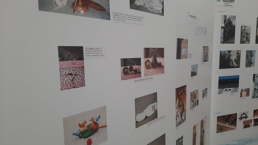 Dona un sorriso: la mostra fotografica “Passi, voci, sguardi” crea un ponte tra generazioni