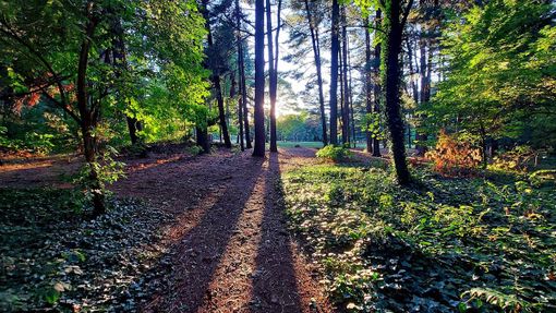 Una bella immagine del Parco Alto Milanese, polmone verde tra Busto, Castellanza e Legnano