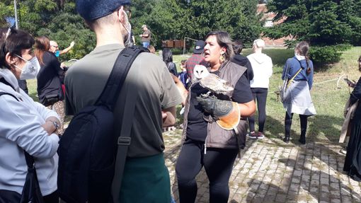 Nella giornata conclusiva, molto apprezzato lo spettacolo di falconeria