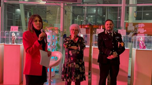 VIDEO. Violenza sulle donne: «Quest'anno già 24 casi di codice rosso» VIDEO. Violenza sulle donne: «Quest'anno già 24 casi di codice rosso»