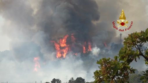 Vigili del fuoco in azione senza sosta: sul Carso roghi non ancora sotto controllo Vigili del fuoco in azione senza sosta: sul Carso roghi non ancora sotto controllo
