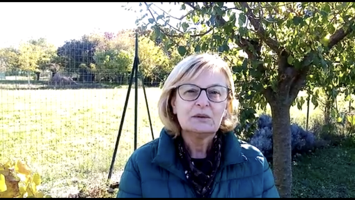 Il Pd: «Proposte concrete ne abbiamo, caro sindaco. Eccone una sul trasporto scolastico a Busto»