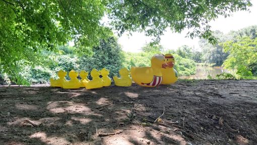 GIRINVALLE. Ad Olgiate si inizia giovedì con le “magiche serate in Valle”