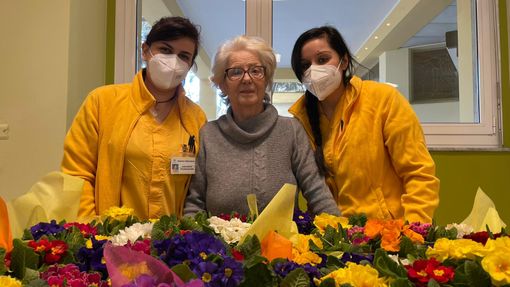 400 primule alla Provvidenza: un dono che comunica speranza e gioia