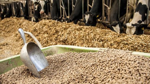 Export alimenti, mangimi, sottoprodotti di origine animale e animali vivi: un progetto dedicato agli operatori del Settore Alimentare