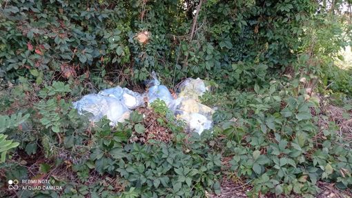 FOTO. Rifiuti abbandonati nei boschi, inciviltà senza fine FOTO. Rifiuti abbandonati nei boschi, inciviltà senza fine