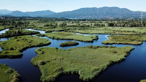 Flora, fauna e altre vite ora è un documentario