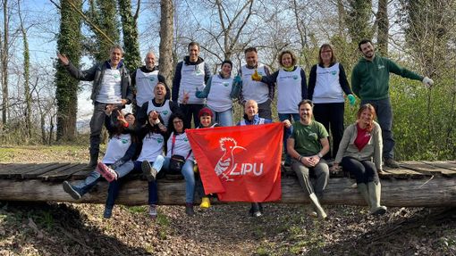 Alla Palude Brabbia i dipendenti del Banco Bpm si prendono cura dell'oasi naturalistica