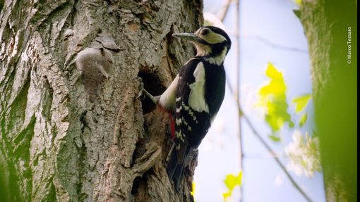 “Il valore della natura”: scienza, politica e società civile a confronto “Il valore della natura”: scienza, politica e società civile a confronto
