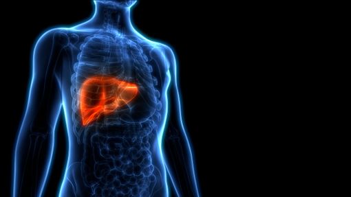 Epatocarcinoma: gli esperti varesini riuniti in congresso