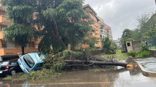 Danni e tettoie volate a terra a Parabiago (foto Ezio Conti via NaturalMeteo). Sotto nella gallery auto investite dal crollo di un gigantesco ramo a Saronno (foto da IlSaronno.it), due immagini degli interventi dei vigili del fuoco in provincia e la parte di tetto del centro commerciale "Il Centro" crollata Danni e tettoie volate a terra a Parabiago (foto Ezio Conti via NaturalMeteo). Sotto nella gallery auto investite dal crollo di un gigantesco ramo a Saronno (foto da IlSaronno.it), due immagini degli interventi dei vigili del fuoco in provincia e la parte di tetto del centro commerciale "Il Centro" crollata