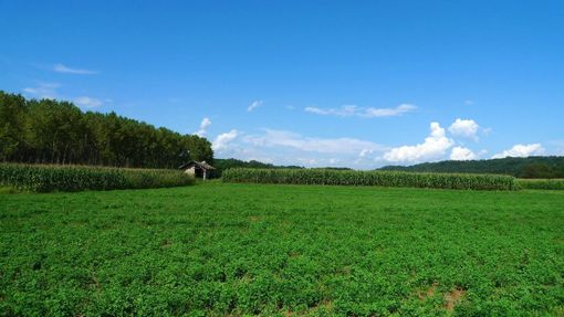 Domenica con punte di 26 gradi. Ma in settimana tornano nuvole e temporali