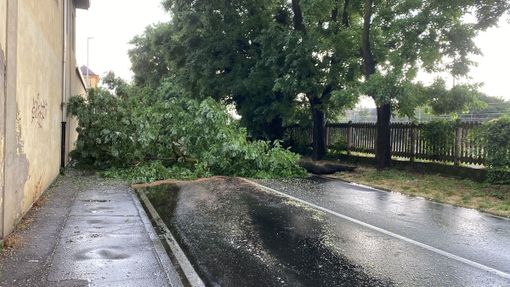 Maltempo a Busto: giù alberi e strade bloccate. Treni in tilt