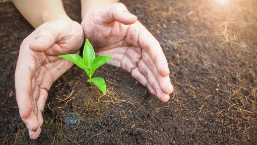 Giornata suolo: oltre 4 comuni su 5 a rischio frane e alluvioni in Lombardia