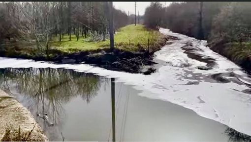 Schiume nell’Olona, Licata (Italia Viva): «Tolleranza zero verso chi inquina, ho convocato Arpa e Alfa in Regione per potenziare le attività di contrasto»
