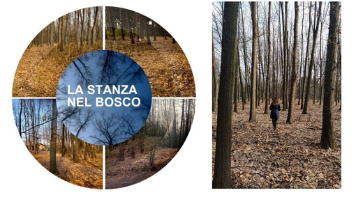 Il progetto La Stanza nel Bosco