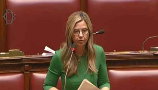 Gadda (Iv): «Polizze come tassa occulta, imprese lasciate sole»