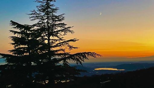 La neve stavolta dovrebbe interessare solo quote collinari oltre i 500 metri La neve stavolta dovrebbe interessare solo quote collinari oltre i 500 metri