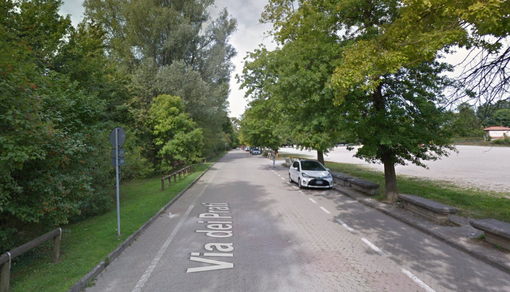 Schiranna, 200 piante per la barriera verde e una nuova area cani