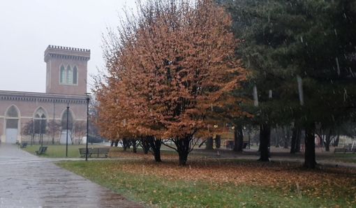 VIDEO. Nevischio a Busto. Nel sud della provincia i primi timidi fiocchi