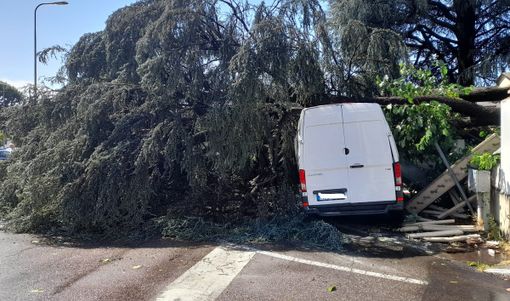 Famiglia Legnanese: un “bosco vivo in città” per celebrare il sostegno ai giovani talenti