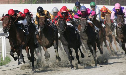 Le Bettole stasera si mettono i lustrini in vista del 70° Gran Premio Città di Varese Le Bettole stasera si mettono i lustrini in vista del 70° Gran Premio Città di Varese