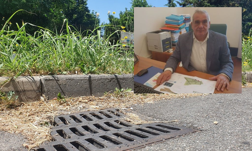 Busto, è partita la derattizzazione. Coinvolti 20mila tombini Busto, è partita la derattizzazione. Coinvolti 20mila tombini