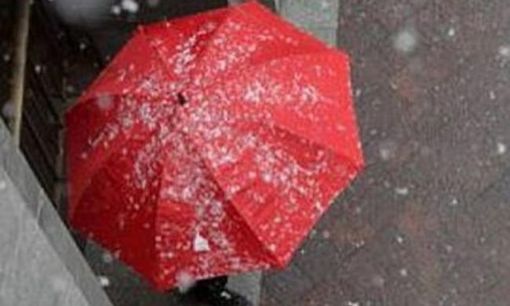 (foto generica dal web)