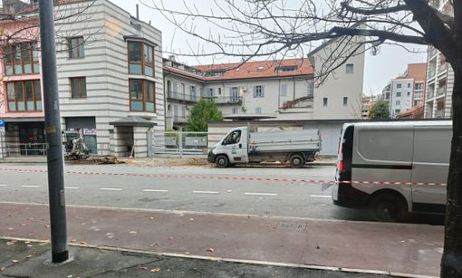 In via XXV Aprile a Gallarate tagliati alcuni esemplari di ciliegi selvatici