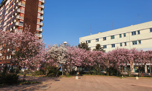 Piazzale Facchinetti