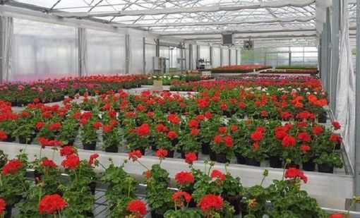 Florovivaismo, al via finanziamenti per parchi storici e giardini