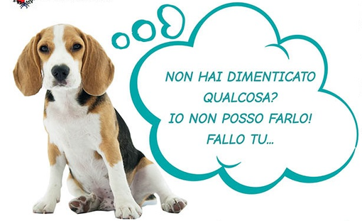 «Una Castellanza più pulita e accogliente per tutti, anche per i nostri amici a quattro zampe»: al via la campagna contro le deiezioni liquide dei cani