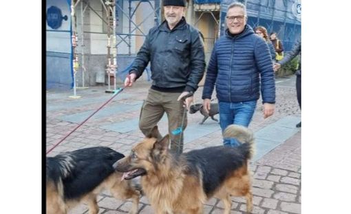 VIDEO. La camminata cresce e diventa un “Pomeriggio a sei zampe” in centro a Busto