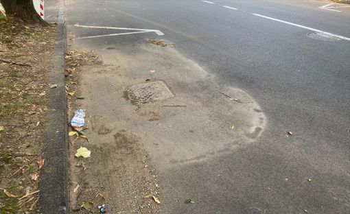 BUSTO, LA SEGNALAZIONE. Via Varese e quei bordi strada sempre più sporchi