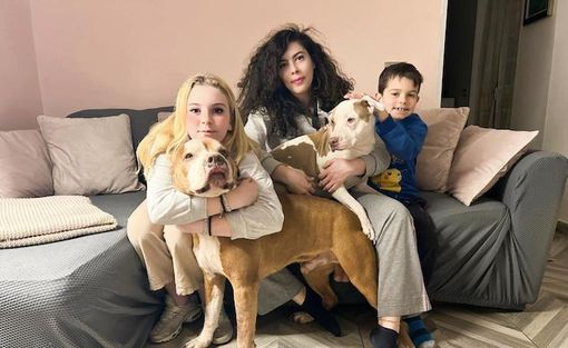 Dalla provincia di Varese a Capo Nord in roulotte: il viaggio straordinario di Daiana con i suoi figli Dalla provincia di Varese a Capo Nord in roulotte: il viaggio straordinario di Daiana con i suoi figli