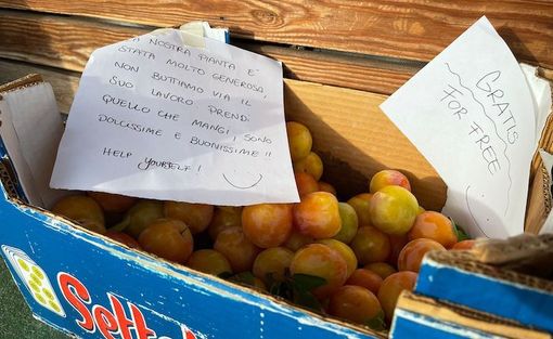 Germignaga, alla casetta dell’acqua un piccolo “regalo” che riempie il cuore di gioia