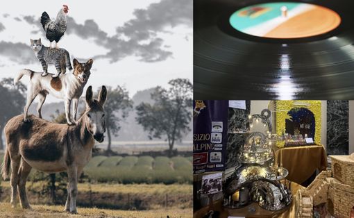 EVENTI DEL WEEKEND. Sant'Antonio e gli animali protagonisti. Ma sarà anche tempo di patronale, premi e riflessioni EVENTI DEL WEEKEND. Sant'Antonio e gli animali protagonisti. Ma sarà anche tempo di patronale, premi e riflessioni