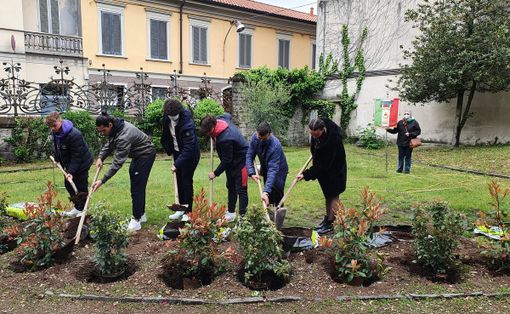 Busto, cresce grazie ai giovani il Giardino della Riconoscenza. «Siate partigiani del presente»