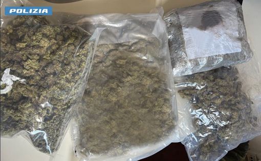 La marjuana sequestrata dalla squadra mobile di Varese a Lainate