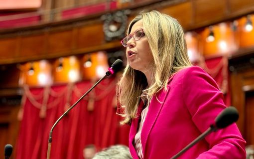 Codice strada, Gadda: «Il no del governo al fondo per strisce blu disabili è un errore» Codice strada, Gadda: «Il no del governo al fondo per strisce blu disabili è un errore»