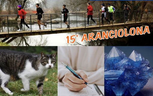 EVENTI DEL WEEKEND. Correte, ascoltate musica o aiutate i mici e l'ambiente: tutto questo potete fare e di più a Busto e in Valle