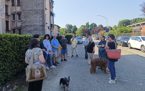 Palazzetto dello sport, istanza del Comitato: «Serve uno studio ambientale». Cassani: «Dopo i ricci il rospo. Ma non l’ingoieremo»