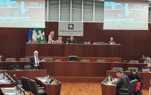 Caso Ilaria Salis, Cattaneo: «Regione attenta e azione del governo efficace»