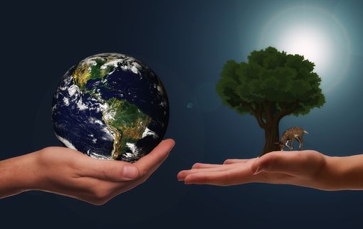 Dalla sostenibilità ambientale allo sviluppo digitale: le opportunità per le imprese