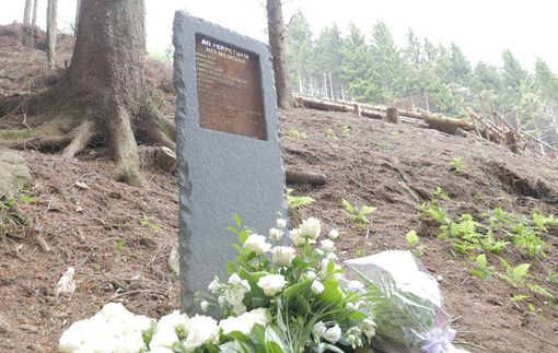 Mottarone, la vedanese Teresa Pelagi: «Dallo Stato neppure le condoglianze. E' peggio del Ponte Morandi» Mottarone, la vedanese Teresa Pelagi: «Dallo Stato neppure le condoglianze. E' peggio del Ponte Morandi»