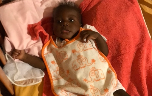 La dolcissima Fedline