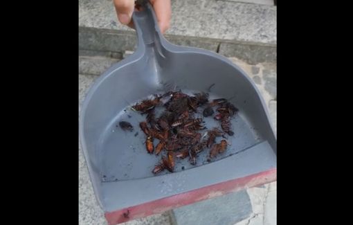 (Immagine generica di archivio)