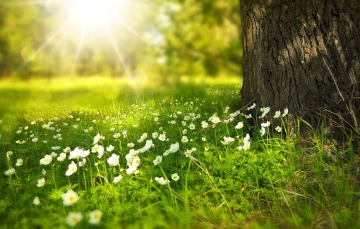 Inizia un weekend baciato dal sole e fioriscono gli appuntamenti